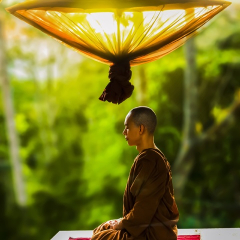 A Monk Guide to a Clean House & Mind